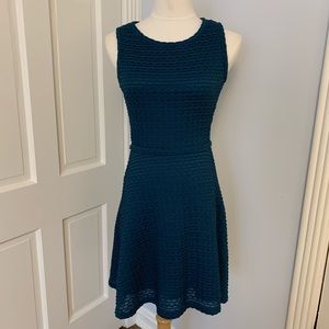 Max Studio Fit and Flare dress